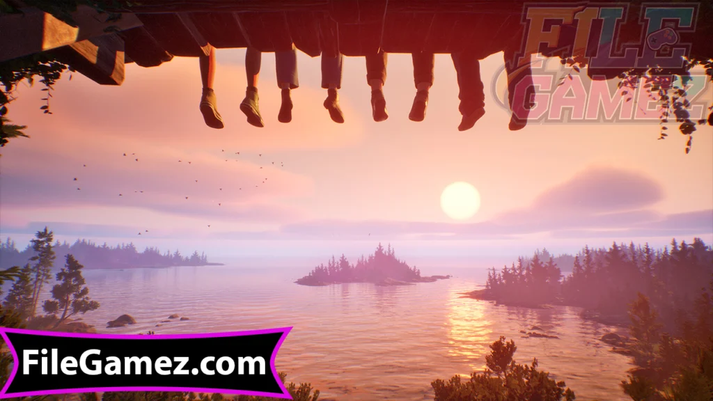 lost records bloom & rage torrent download