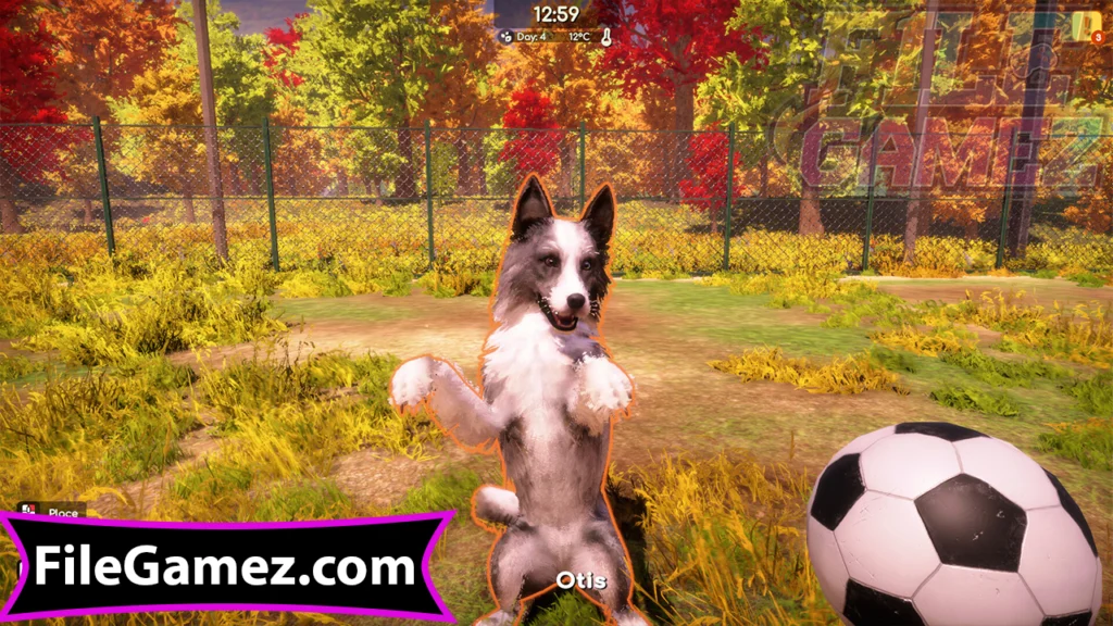 animal shelter 2 game